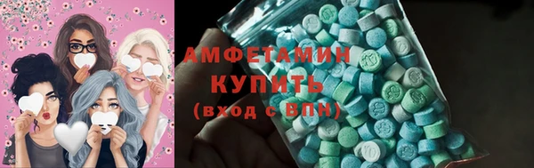 прущие грибы Аркадак