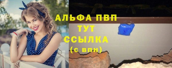 прущие грибы Аркадак