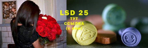 прущие грибы Аркадак