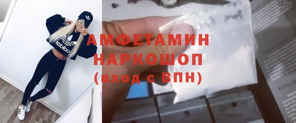 прущие грибы Аркадак