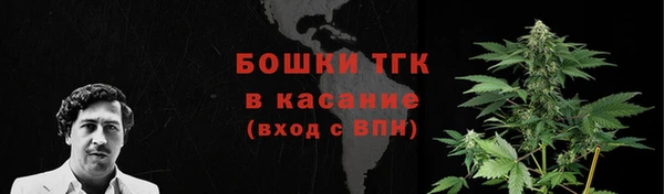 прущие грибы Аркадак