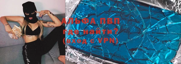 прущие грибы Аркадак