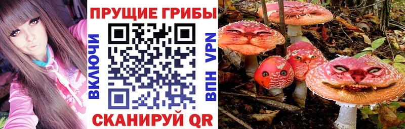 shop какой сайт  Мантурово  Галлюциногенные грибы прущие грибы 