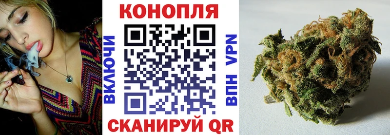где продают наркотики  Мантурово  Канабис сатива 